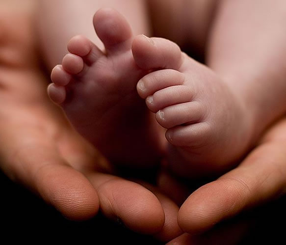 Adult hands hold baby's feet