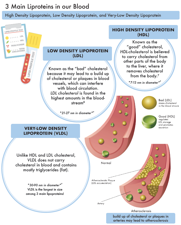 Nutrition & Health Info Sheets for Consumers - Cholesterol