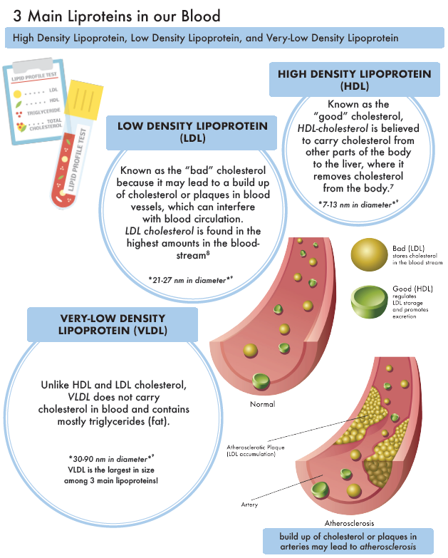 Nutrition Health Info Sheets For Consumers Cholesterol UC Davis 