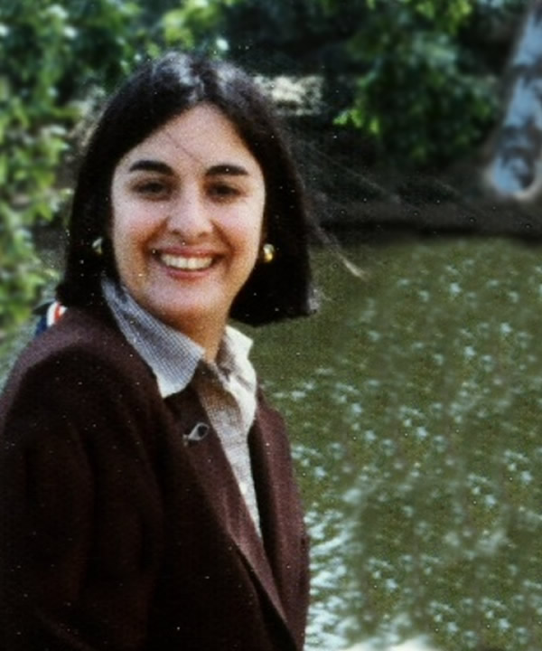 Judy Stern