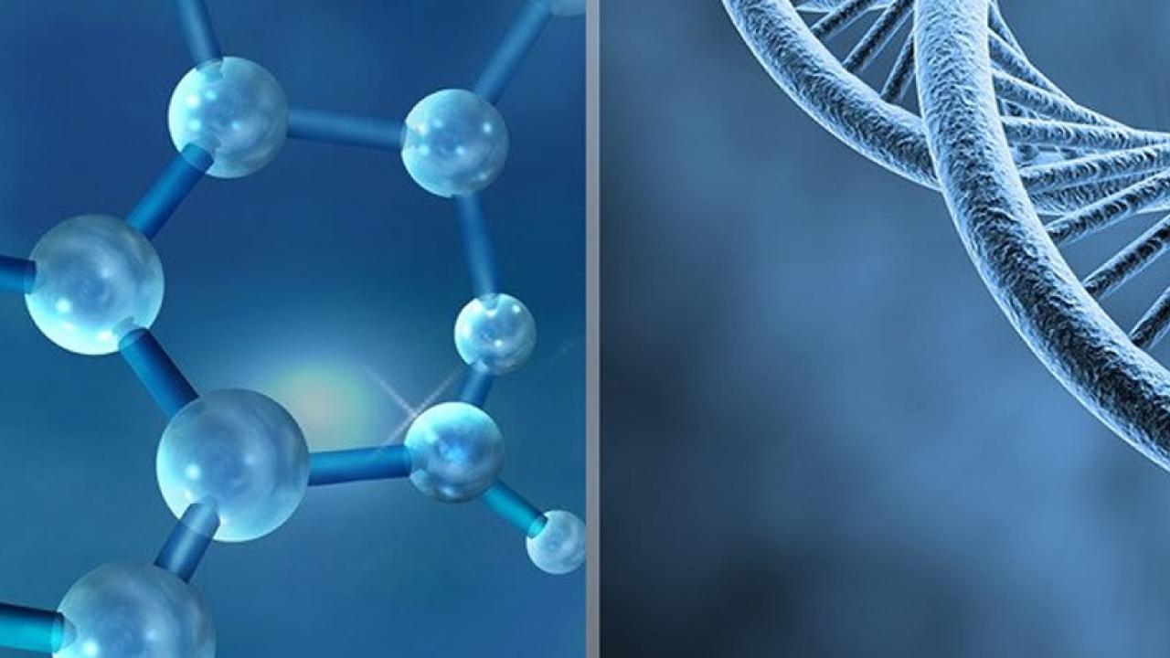 UC Davis Nutrition Department - Mission, Vision, and Key Areas of Expertise