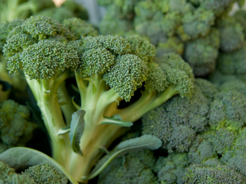 broccoli