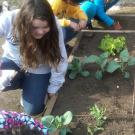 Kids gardening