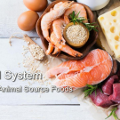 Aligning the Food System: Nutrition in Animal-Source Foods