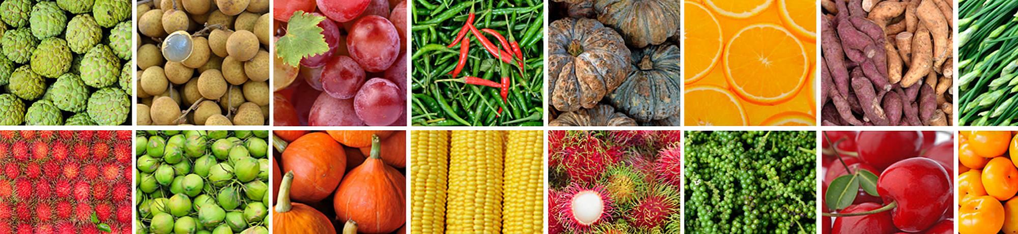 Array of fruits and vegetables