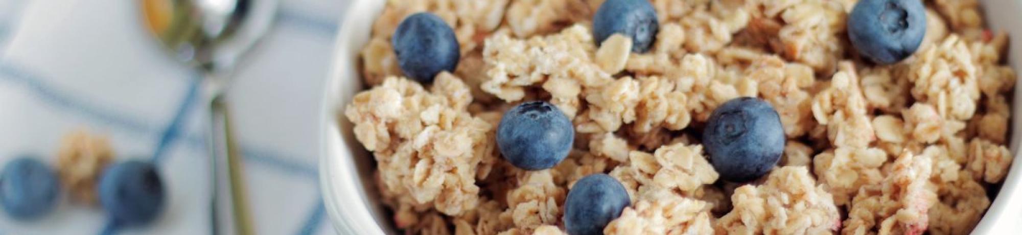 fiber oatmeal breakfast bowl